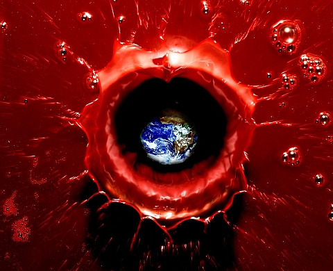 Une exposition photo au Festival Art Rock