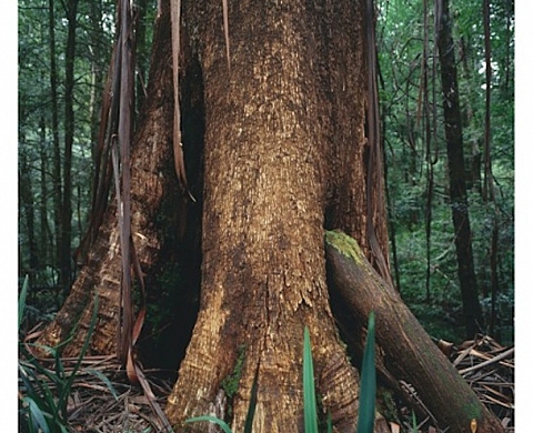 Philippe Charles expose « Prélude » à Marseille