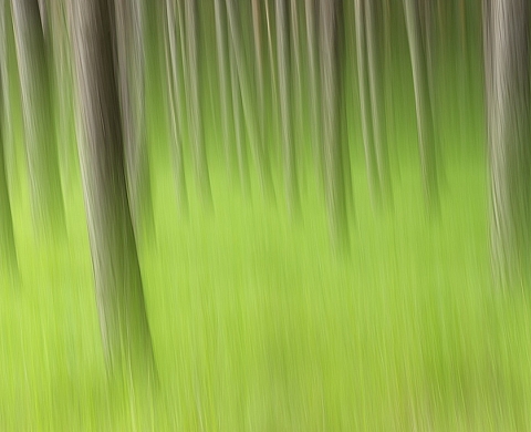 « Les âmes sylvestres » de Jean-Michel Lenoir à la Galerie BLIN plus BLIN
