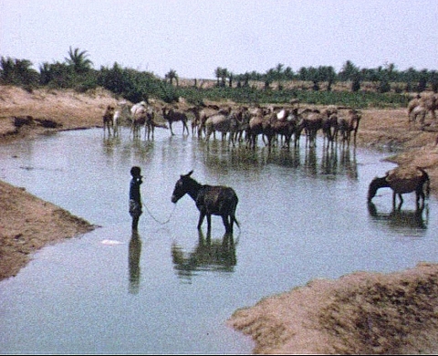 NEGPOS présente le Printemps photographique 2013 des photographes voyageurs