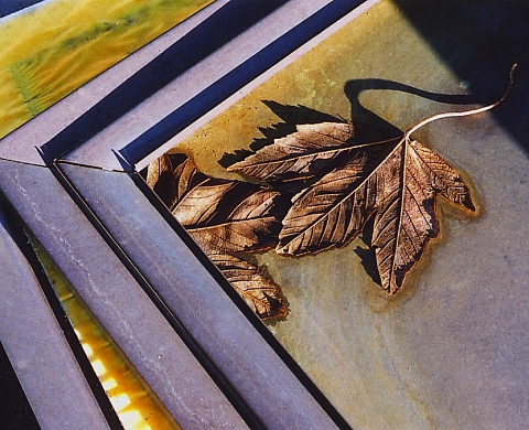 Lignes, formes, volumes la 12ème édition de La Photographie à l’école