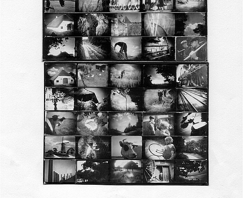 Jean Dréville : L'Énergie Ciné Photo Graphique du Pictorialisme à la Nouvelle Vision