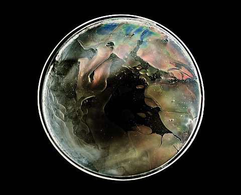 Cédez le passage présente «Acosmie» de Maxime Boisvert