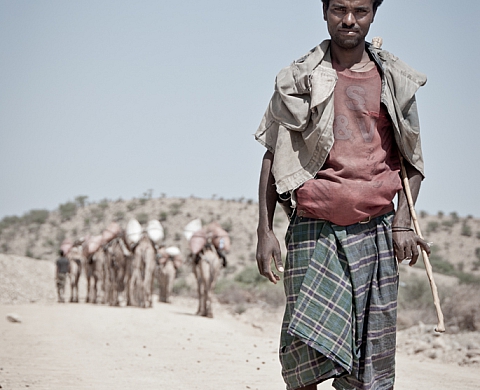 « Ethiopie, Terre charnelle » de Céline Ravier à l'agence Terres d'aventure