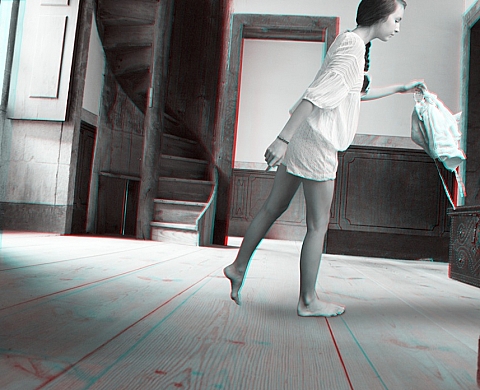 Exposition personnelle  de Mireille Loup « 53.77 anaglyph »