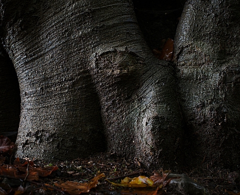 Exposition des Lauréats du concours de portfolios 2012