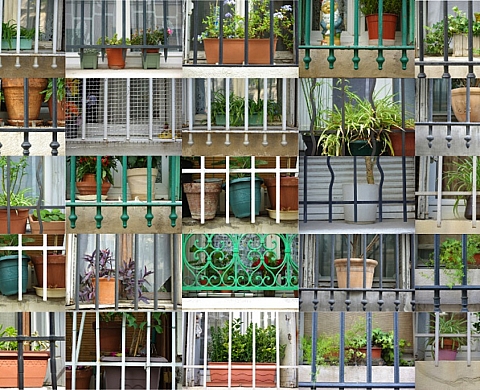 IN/OUT Photographies de Cécile Straumann au Lac Gelé