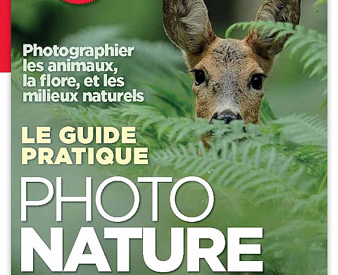 «Le guide pratique Photo Nature, photographier les animaux, la flore, et les milieux naturels» «Le guide pratique Photo Nature, photographier les animaux, la flore, et les milieux naturels»