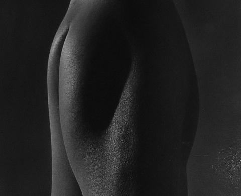 L'HOSTE Art Contemporain invite Line Lavesque qui présente Alain Ceccaroli