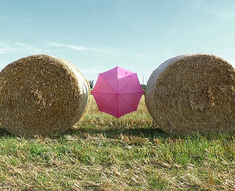 La galerie HorsChamp propose une exposition collective