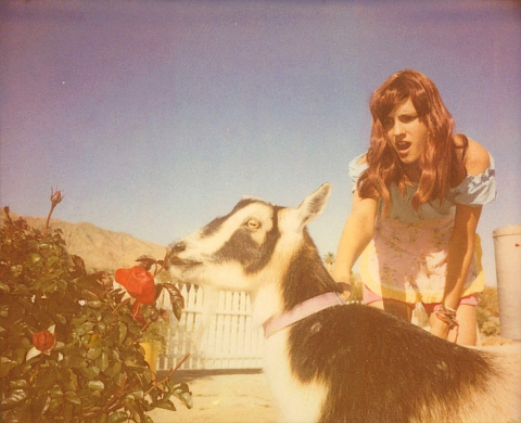 Photographies et film de Stefanie Schneider à la galerie Catherine et André Hug