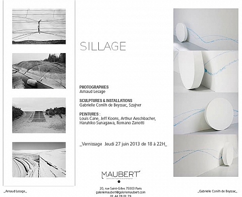 La Galerie Maubert présente l'exposition d'art contemporain «Sillage» 