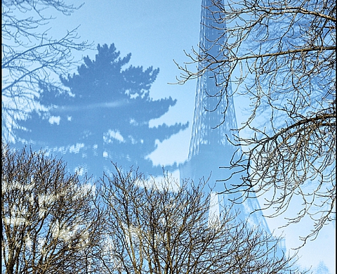 La Galerie des Charitains présente Marcus Brandao «Brésil - France - Regards Croisés»