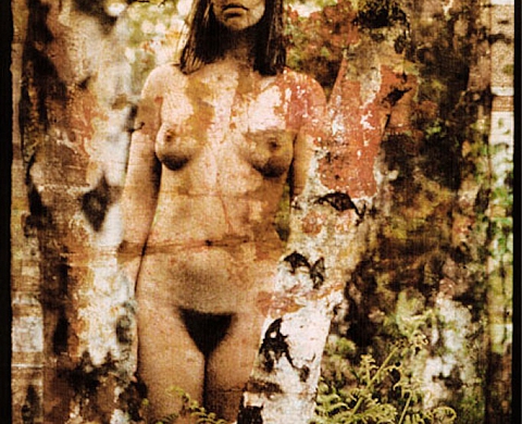 Fred Chapotat expose «Souviens toi» chez Archi5