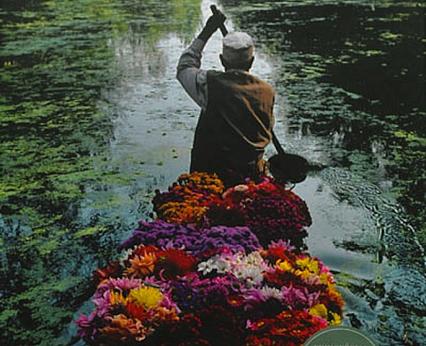 «Les Icônes photographiques» de Steve McCurry «Les Icônes photographiques» de Steve McCurry