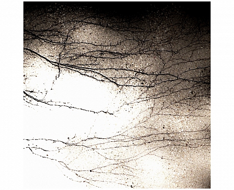 Le 8 bis organise l'exposition collective Lines and Print