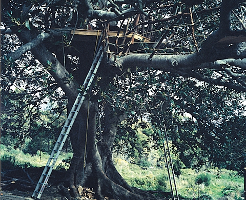 « La courte échelle ou l'échelle des voleurs » par Yto Barrada, au Studio Fotokino « La courte échelle ou l'échelle des voleurs » par Yto Barrada, au Studio Fotokino