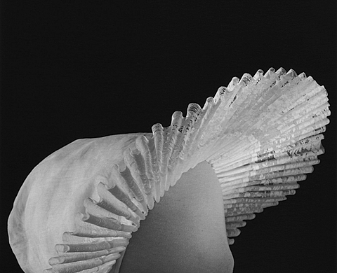 Hervé Robillard au Musée de Boulogne-sur-Mer