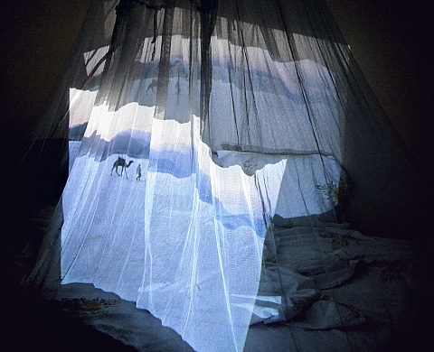 « Incarnations Ethiopiennes » au Musée Rimbaud de Charleville-Mézières 