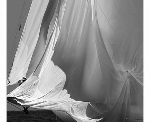  Cet été, Patricia Lascabannes met les voiles sur le Festival de la photographie de Dax