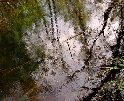 « Impressionnisme au fil de l'eau » présenté dans deux lieux en Haute-Normandie