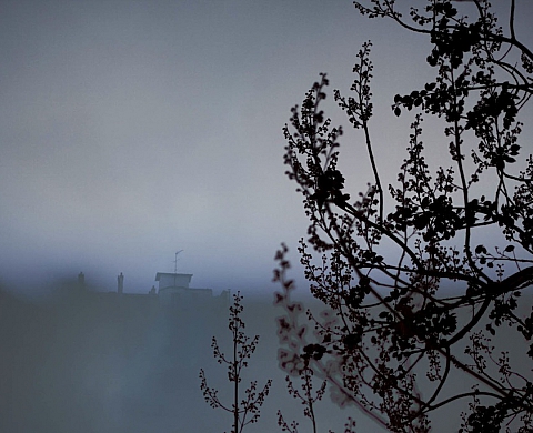 Bénédicte Lassalle expose sa série « Par chez moi » en France et en Allemagne