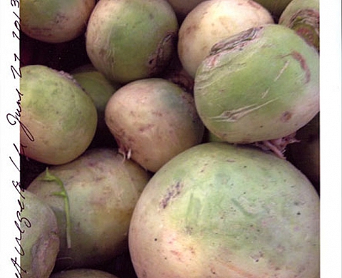 The exhibition « Summer Salad » in New York