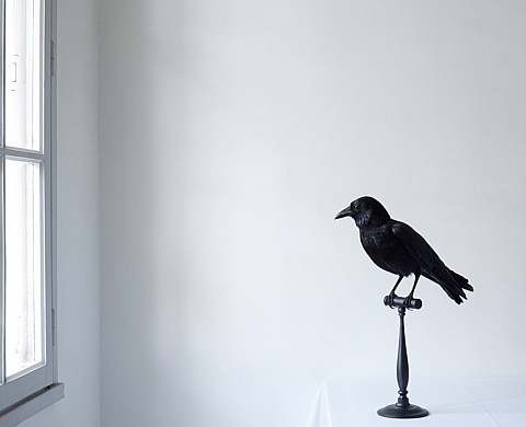 BG Now organise l'exposition « Group Show » BG Now organise l'exposition « Group Show »