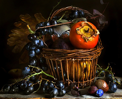 Dans le cadre de la 18ème édition des Itinéraires Photographiques, la mairie de Mortemart expose Arina Kouznetsova