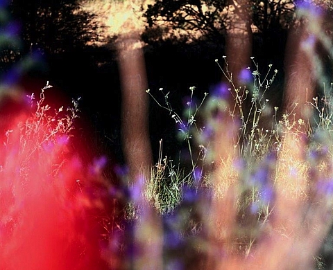 André Pharel expose ses « Traversées » à la Galerie Depardieu