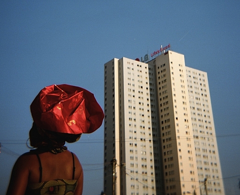 « Palm Beach » une exposition collective à la galerie See Studio