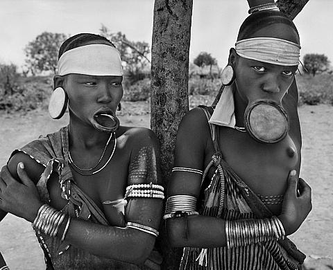 Le Musée de l'Elysée présente « Genesis » de Sebastião Salgado, et « State » de Paolo Woods