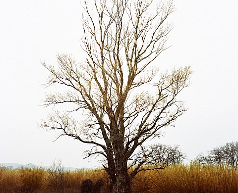 Le Collectif Mon Œil et La Communauté de Communes du Pont du Gard présentent l'exposition « Résidence d'Artistes »