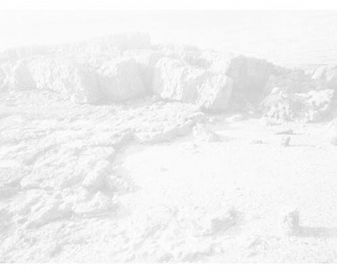 Exposition « les Paysages du départ »  par Bruno Boudjelal à la TD galerie