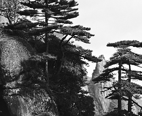 Chen Dazhi : Hommage du photographe à la peinture à la galerie Xinhua 