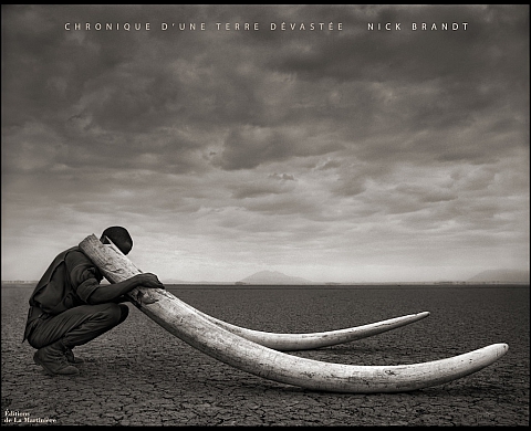 « Chronique d'une terre dévastée » : le dernier ouvrage de Nick Brandt aux Editions de la Martinière « Chronique d'une terre dévastée » : le dernier ouvrage de Nick Brandt aux Editions de la Martinière