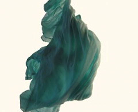 La Galerie Rivière et Falveley présente l'exposition « Absences »