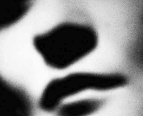 Le Studio Harcourt Paris expose les oeuvres de son collectif de photographes