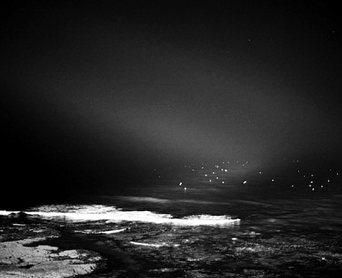 La(b) Galerie ArtyFact présente l'exposition collective « NOIR(S) »