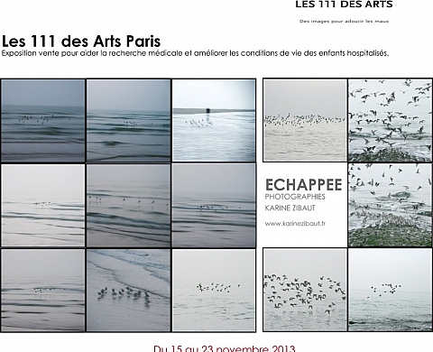 L'association Les 111 des Arts organise une exposition-vente du 15 au 23 novembreà la Mairie du 8e arrondissement de Paris L'association Les 111 des Arts organise une exposition-vente du 15 au 23 novembreà la Mairie du 8e arrondissement de Paris