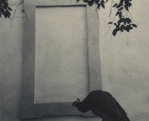 La Galerie Demi-Teinte présente « Les rêveries de Lavinia », photographies de FLORE La Galerie Demi-Teinte présente « Les rêveries de Lavinia », photographies de FLORE