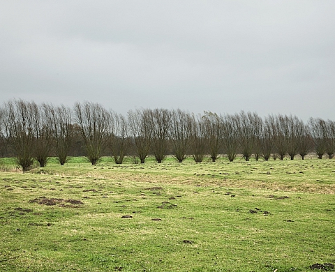 Edith Roux expose « Variations paysagères » au centre de la photographie du Nord-pas-de-Calais