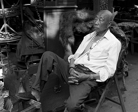 Del Mondo by Andy Summers