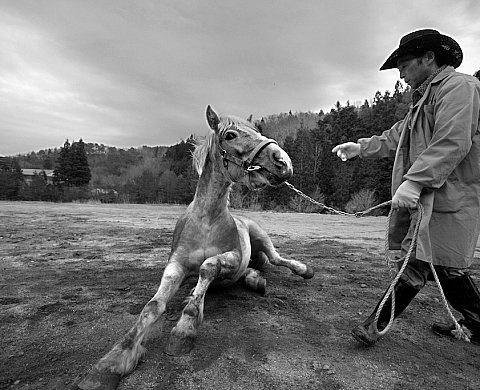 Entretien avec le photographe japonais Kazuma Obara, qui explique son reportage troublant « Fukushima : Life with Horses in Evacuation zone » Entretien avec le photographe japonais Kazuma Obara, qui explique son reportage troublant « Fukushima : Life with Horses in Evacuation zone »
