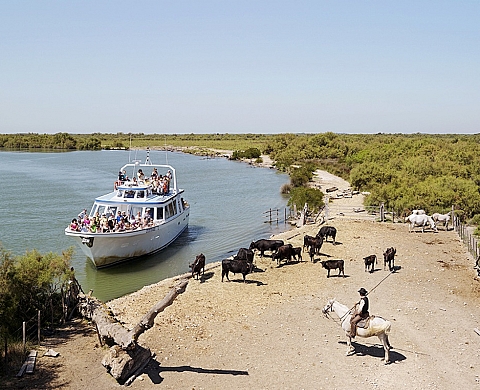 Le Musée de l'Arles Antique présente « Rhodanie, Paysages déclassés. De Pont-Saint-Esprit à la mer Méditerranée », photographies de Bertrand Stofleth