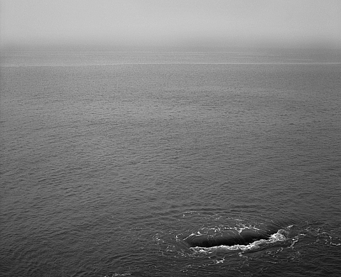 Sail Away expose « Noir Atlantique » d'Alexandre Christiaens Sail Away expose « Noir Atlantique » d'Alexandre Christiaens