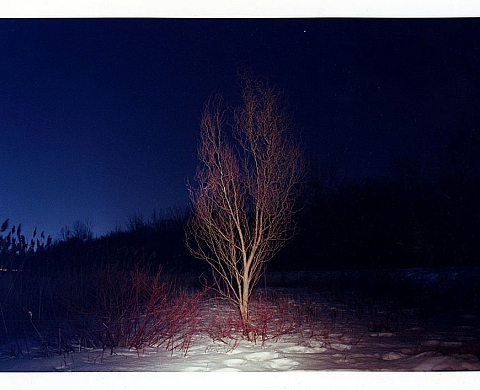 Gabriel Masella présente « Namur » à la galerie Cédez le passage
