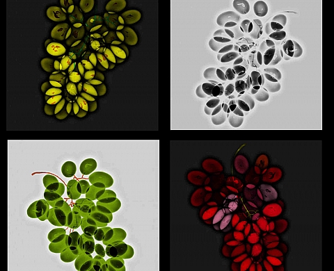 PHOTON présente l'exposition collective « 4 X 4 »