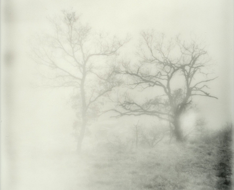 La Galerie Mirabilia et la Médiathèque d'Aubenas présentent l'exposition « Traversées: photographies de Christiane Sintès »