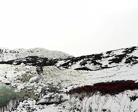 La galerie Jacques Cerami expose « Ceci n'est pas un paysage » d'Iris Hutegger